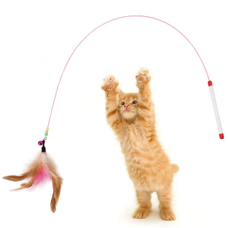 Cat Feather Tease Toy