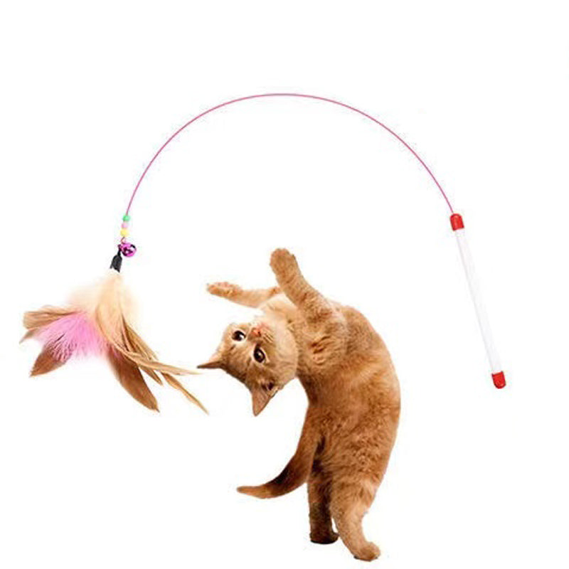 Cat Feather Tease Toy